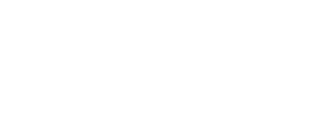 Abacus Technology Consulting